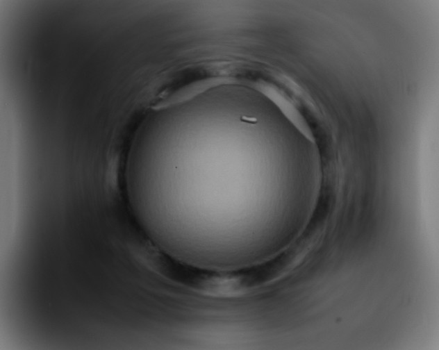 X0000092220217200709211013