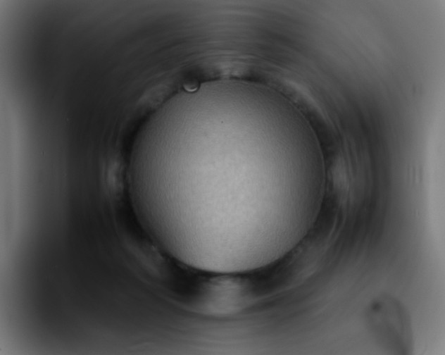 X0000092220218200709211013
