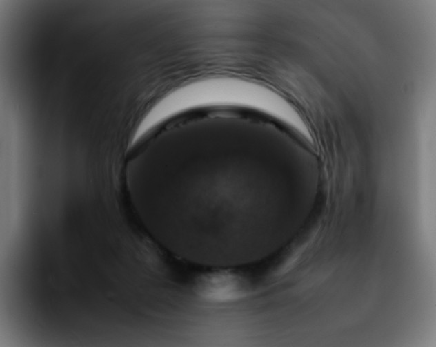 X0000092220219200709211013