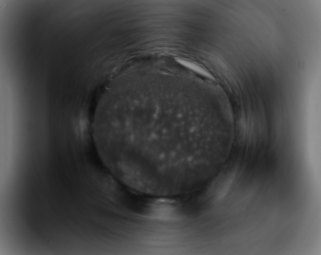 X0000092220222200709211013