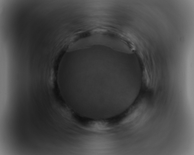 X0000092220223200709211013