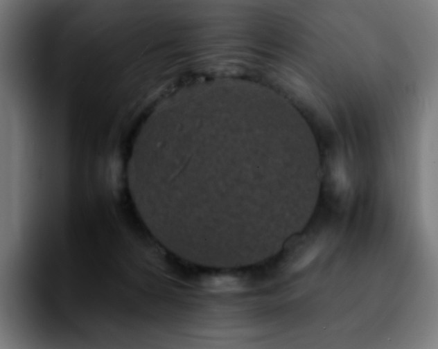 X0000092220224200709211013