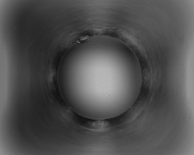 X0000092220225200709211013