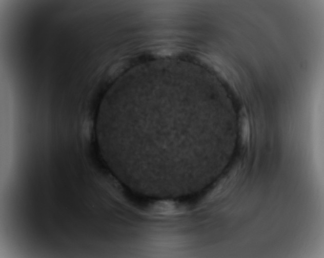 X0000092220227200709211013