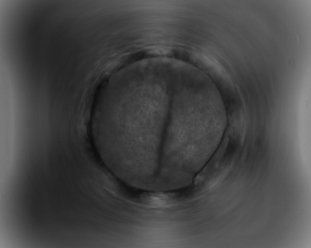 X0000092220229200709211013