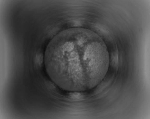 X0000092220230200709211013