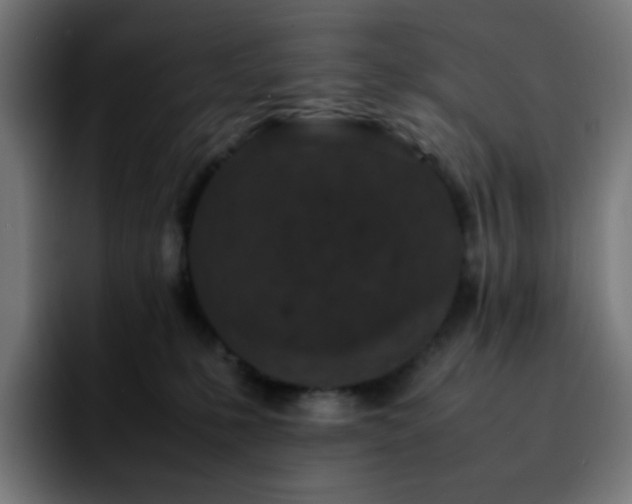 X0000092220231200709211013