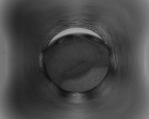 X0000092220233200709211013