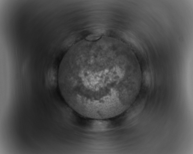 X0000092220234200709211013