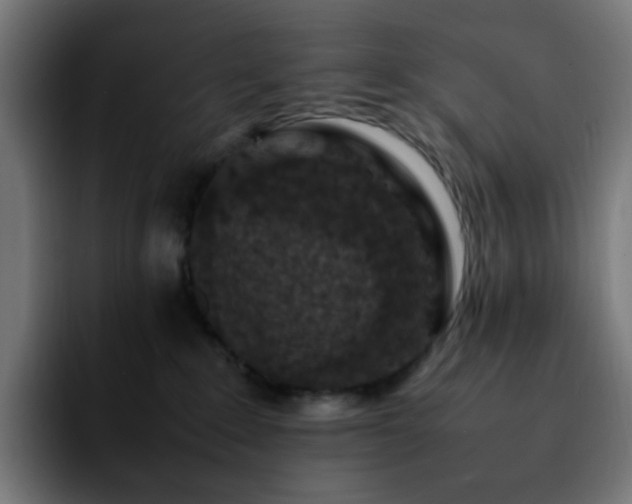 X0000092220235200709211013
