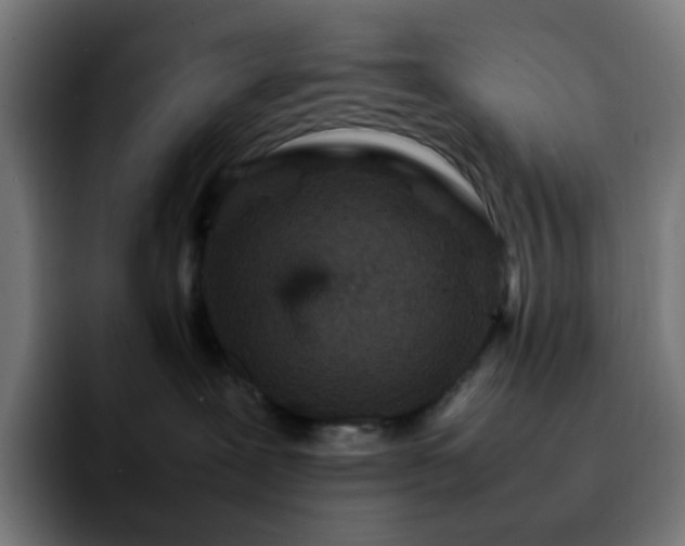 X0000092220239200709211013