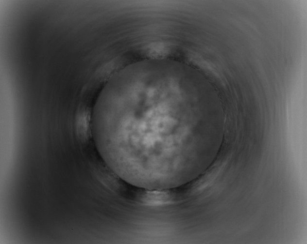 X0000092220240200709211013