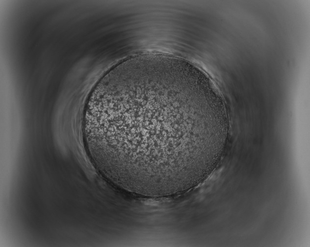 X0000092220241200709211012