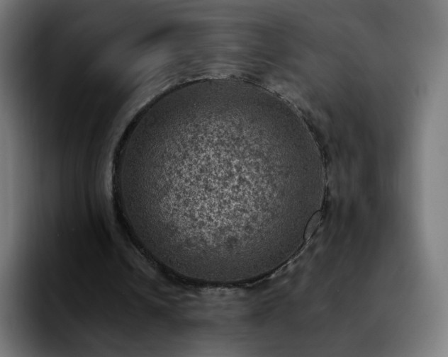 X0000092220242200709211013