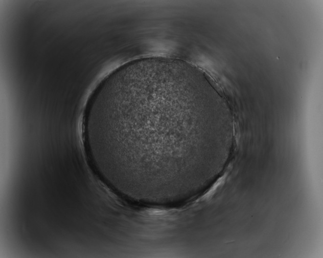 X0000092220244200709211013