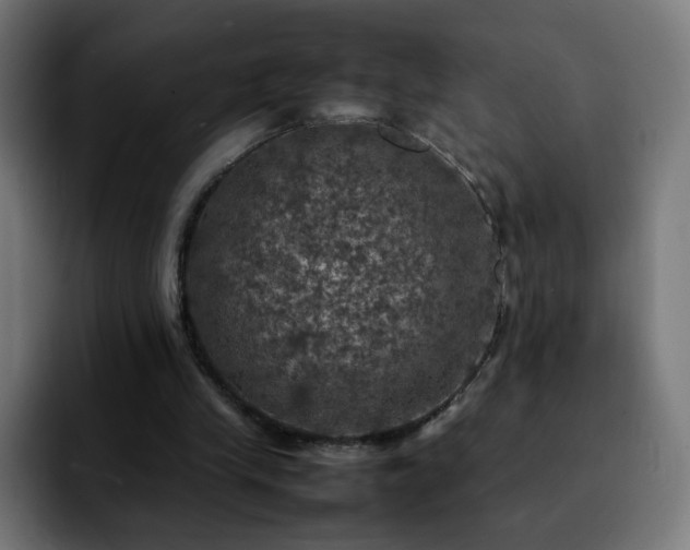 X0000092220245200709211013