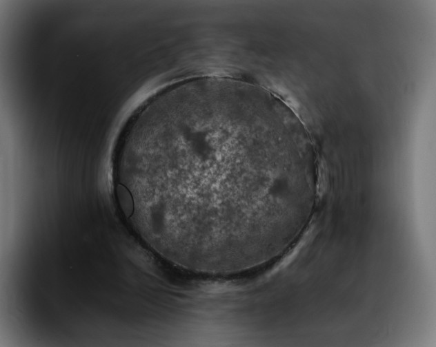 X0000092220246200709211013