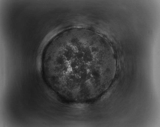 X0000092220247200709211013