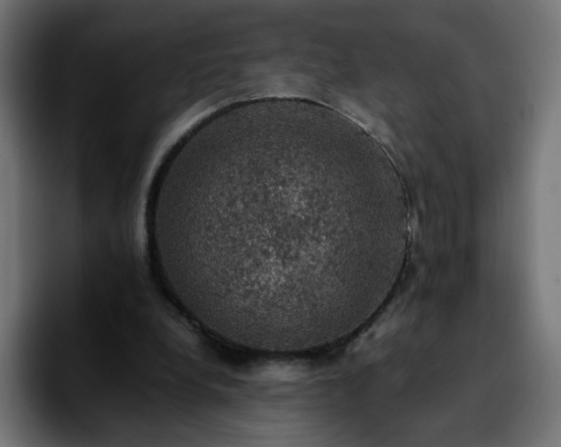 X0000092220248200709211013