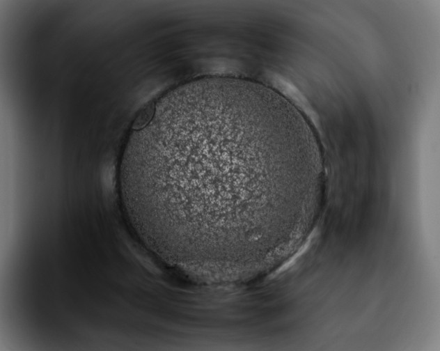X0000092220249200709211013