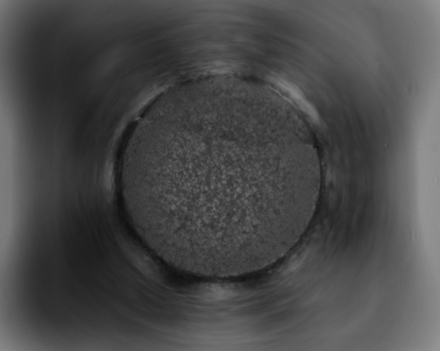X0000092220250200709211013