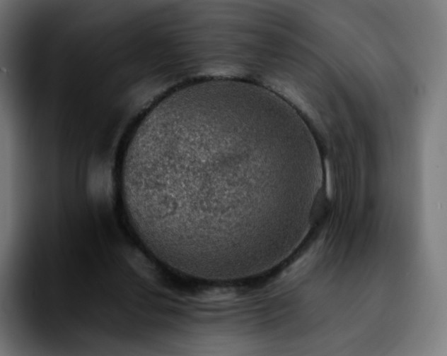 X0000092220252200709211013