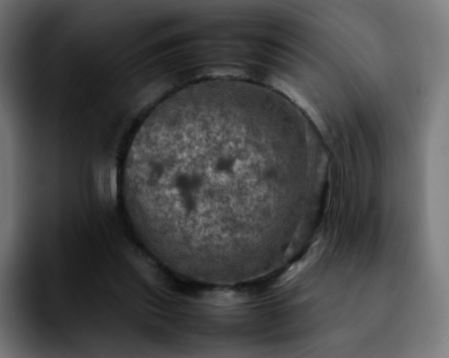 X0000092220253200709211013