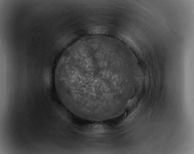 X0000092220255200709211013