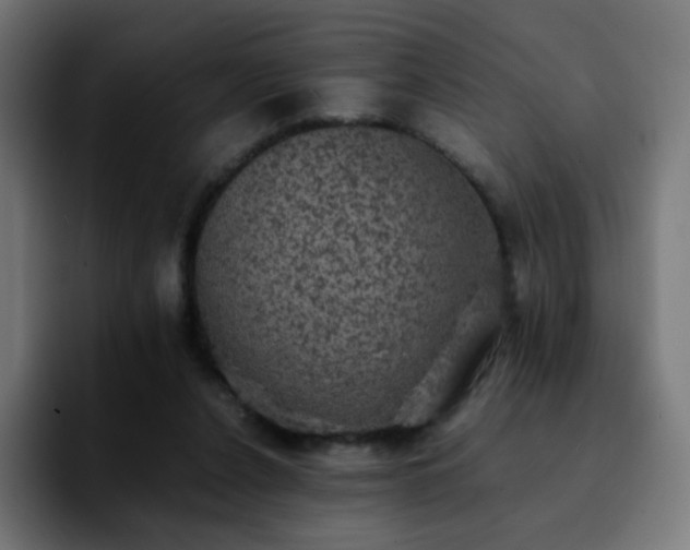 X0000092220256200709211013