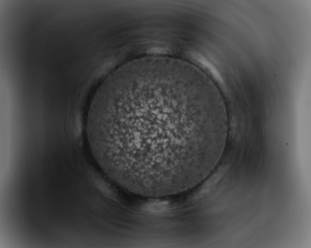 X0000092220257200709211013