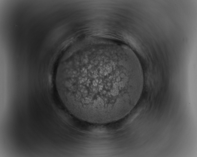 X0000092220258200709211013