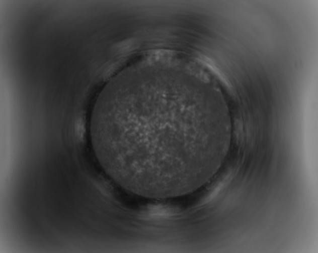 X0000092220259200709211013