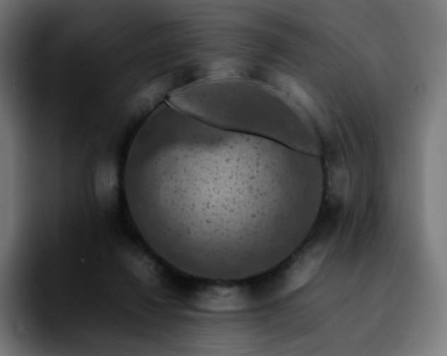 X0000092220260200709211013