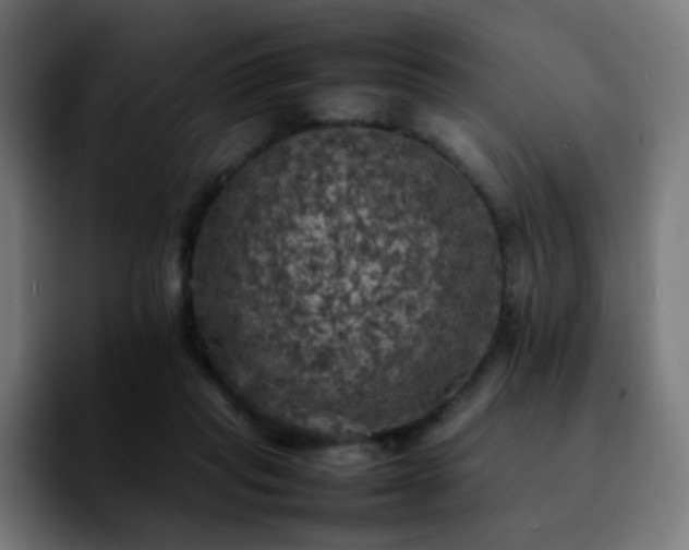 X0000092220261200709211013