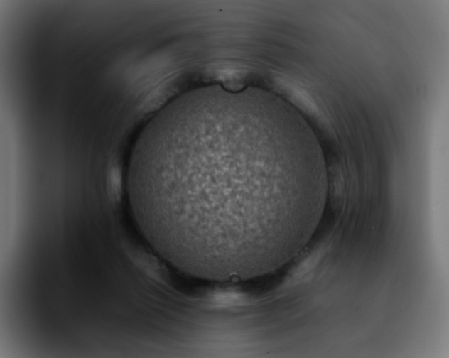 X0000092220262200709211013