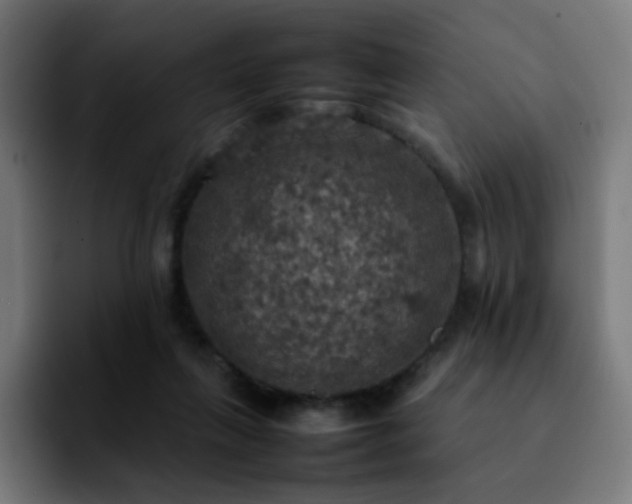 X0000092220263200709211013