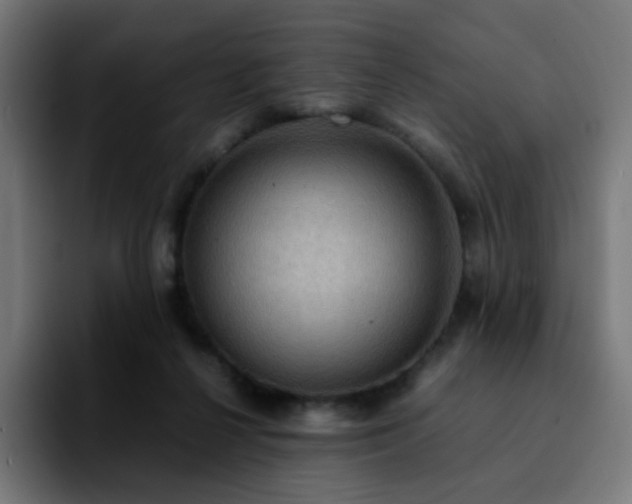 X0000092220264200709211013