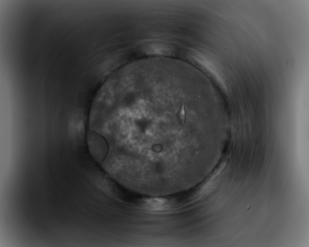 X0000092220265200709211013
