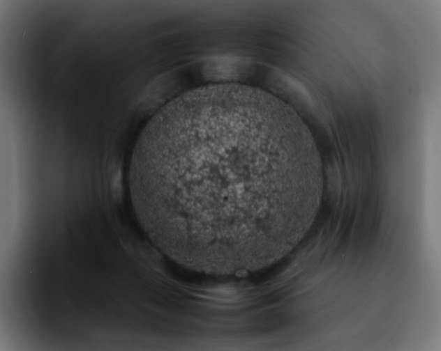 X0000092220267200709211013