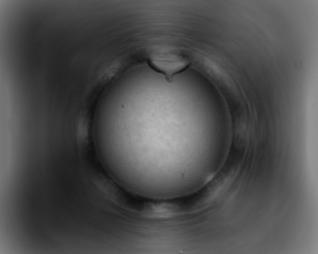 X0000092220268200709211013