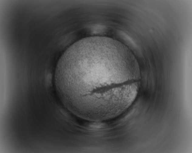 X0000092220269200709211013