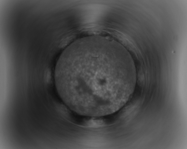 X0000092220270200709211013