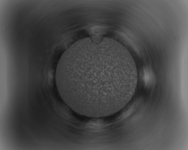X0000092220271200709211013
