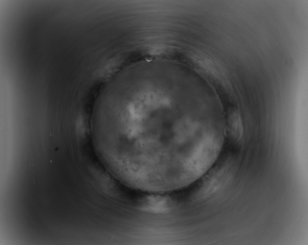 X0000092220272200709211013