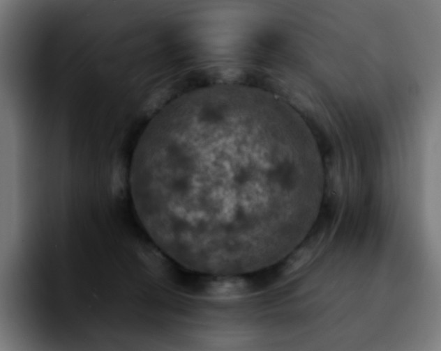 X0000092220274200709211013