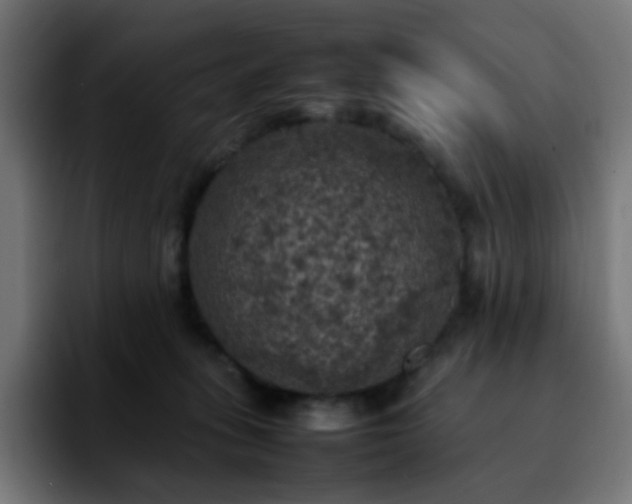 X0000092220275200709211013