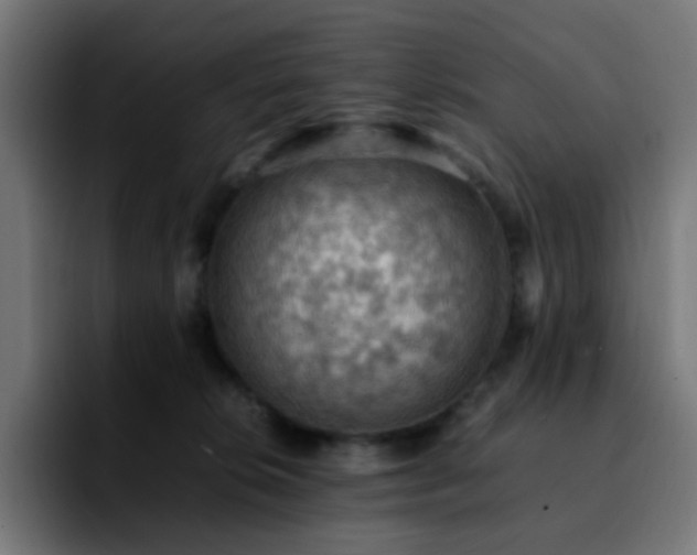 X0000092220276200709211013