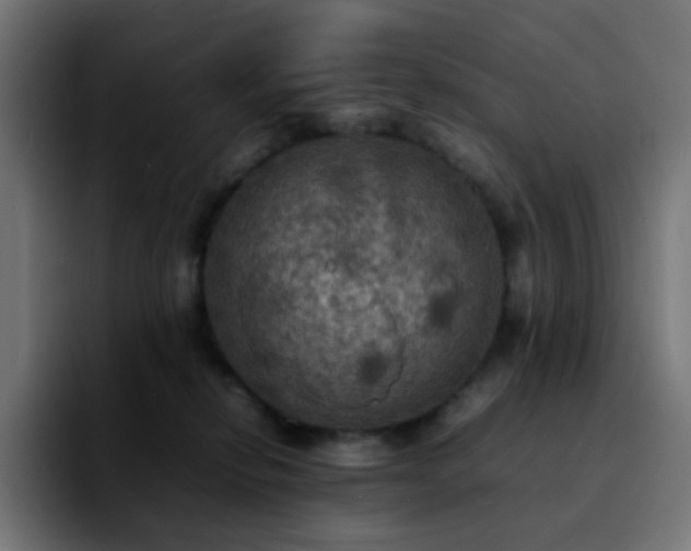 X0000092220278200709211013