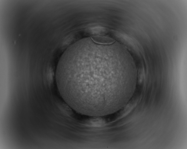 X0000092220279200709211013