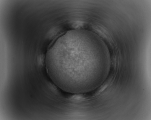 X0000092220280200709211013